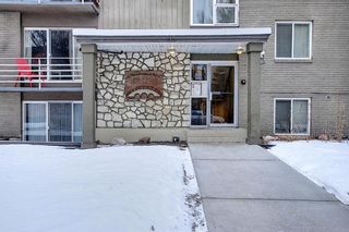 Photo 3: 303 215 25 Avenue SW in Calgary: Mission Apartment for sale : MLS®# A1063932