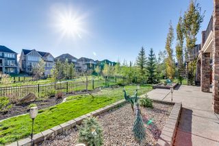 Photo 37: 65 Cranbrook Heights SE in Calgary: Cranston Detached for sale : MLS®# A2049689