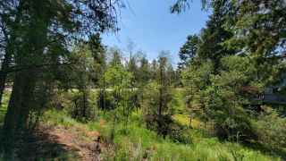 Photo 14: Lot 35 TIMBER RIDGE ROAD in Windermere: Vacant Land for sale : MLS®# 2472037