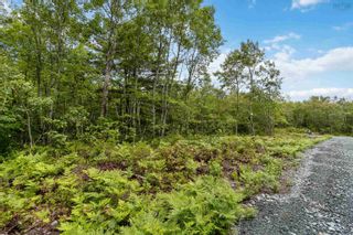 Photo 14: Lot 6 Maple Ridge Drive in White Point: 406-Queens County Vacant Land for sale (South Shore)  : MLS®# 202315187