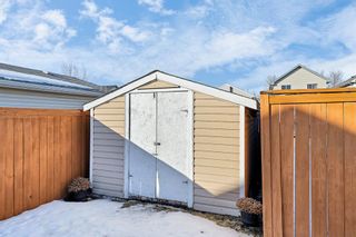 Photo 39: 147 Mt Apex Crescent SE in Calgary: McKenzie Lake Detached for sale : MLS®# A2026054