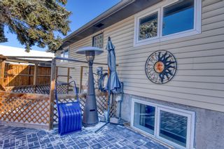 Photo 6: 119 Madeira Place NE in Calgary: Marlborough Park Detached for sale : MLS®# A1185857