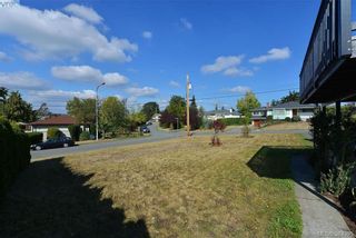 Photo 19: 4086 N Raymond St in VICTORIA: SW Glanford House for sale (Saanich West)  : MLS®# 773862