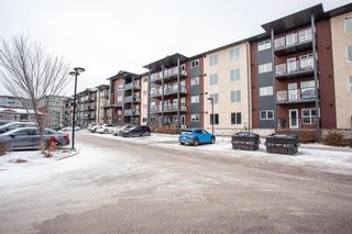 Photo 41: 403 155 Peguis Street in Winnipeg: Devonshire Village Condominium for sale (3K)  : MLS®# 202332254