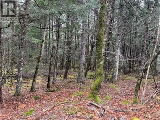 Photo 3: Lot 30 Bridle Path in Labelle: Vacant Land for sale : MLS®# 202325095