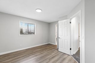 Photo 18: 145 Applemead Close in Calgary: Applewood Park Detached for sale : MLS®# A1217574