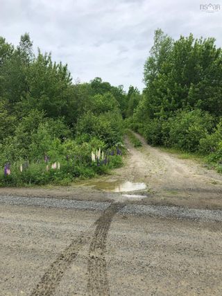 Photo 3: Lot Morganville Road in Bear River: Annapolis County Vacant Land for sale (Annapolis Valley)  : MLS®# 202213446