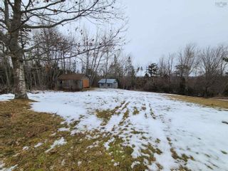 Photo 11: 15013 Highway 6 in Wallace Ridge: 104-Truro / Bible Hill Residential for sale (Northern Region)  : MLS®# 202302642