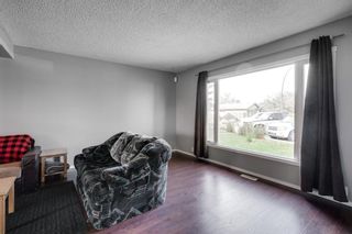 Photo 6: 119 Erin Dale Place SE in Calgary: Erin Woods Detached for sale : MLS®# A1038168