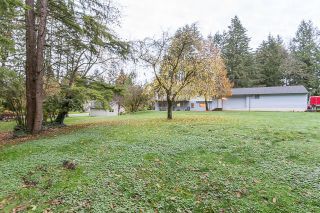 Photo 19: 11447 272 Street in Maple Ridge: Thornhill MR House for sale : MLS®# R2122729