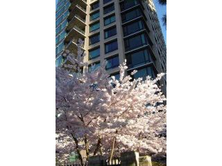 Photo 1: 705 1003 BURNABY Street in Vancouver: West End VW Condo for sale (Vancouver West)  : MLS®# V859703