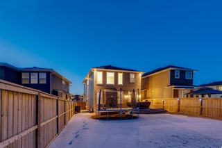 Photo 48: 239 Redstone Heights NE in Calgary: Redstone Detached for sale : MLS®# A1197090