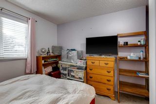 Photo 19: 20 Bedwood Crescent NE in Calgary: Beddington Heights Detached for sale : MLS®# A2099844