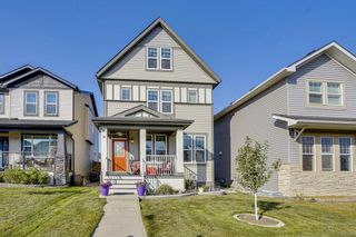 Main Photo: 36 Skyview Point Common NE in Calgary: Skyview Ranch Detached for sale : MLS®# A2081475