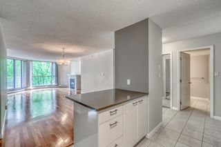 Photo 13: 304 804 3 Avenue SW in Calgary: Eau Claire Apartment for sale : MLS®# A1259299