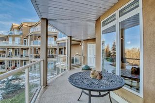 Photo 23: 205 4 Hemlock Crescent SW in Calgary: Spruce Cliff Apartment for sale : MLS®# A2036956