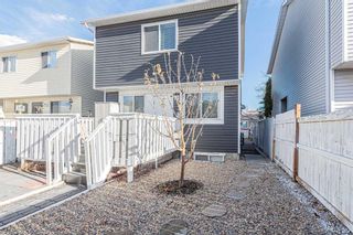 Photo 38: 145 Martindale Drive NE in Calgary: Martindale Detached for sale : MLS®# A2094318