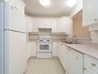 Photo 7: 205 120 VERNON Avenue in Kamloops: North Kamloops Apartment Unit for sale : MLS®# 176369