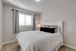 Photo 28: 291 Masters Row SE in Calgary: Mahogany Detached for sale : MLS®# A2026933
