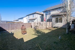 Photo 45: 91 Evansbrooke Manor NW in Calgary: Evanston Detached for sale : MLS®# A1211747