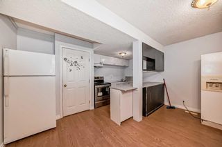 Photo 31: 97 Martinvalley Crescent NE in Calgary: Martindale Detached for sale : MLS®# A2124027