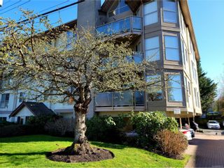 Photo 29: 201 1597 Mortimer St in Saanich: SE Mt Tolmie Condo for sale (Saanich East)  : MLS®# 898172