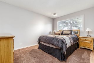 Photo 10: 260 Van Horne Crescent NE in Calgary: Vista Heights Detached for sale : MLS®# A1144476