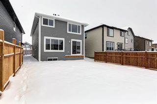 Photo 31: 53 Magnolia Terrace SE in Calgary: Mahogany Detached for sale : MLS®# A2010093