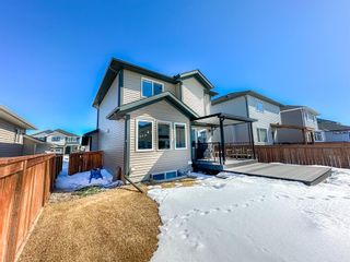 Photo 36: 188 Wildrose Crescent: Strathmore Detached for sale : MLS®# A2035682