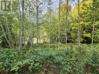 Photo 6: Lot 16 WADDINGTON AVE in Powell River: Vacant Land for sale : MLS®# 17636