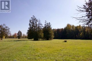 Photo 8: 641473 270 SDRD in Melancthon: Vacant Land for sale : MLS®# X5994396
