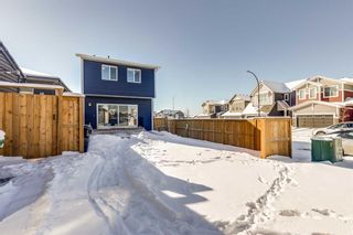 Photo 41: 161 Lucas Crescent NW in Calgary: Livingston Detached for sale : MLS®# A2113405