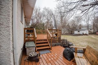 Photo 23: 234 Walnut Avenue in Mitchell: R16 Residential for sale : MLS®# 202311549