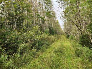 Photo 1: Lot Highway 236 in Kennetcook: 105-East Hants/Colchester West Vacant Land for sale (Halifax-Dartmouth)  : MLS®# 202320951