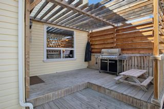 Photo 29: 340 Prestwick Terrace SE in Calgary: McKenzie Towne Detached for sale : MLS®# A2038935