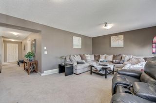 Photo 23: 19 COPPERLEAF Crescent SE in Calgary: Copperfield Detached for sale : MLS®# A1022410