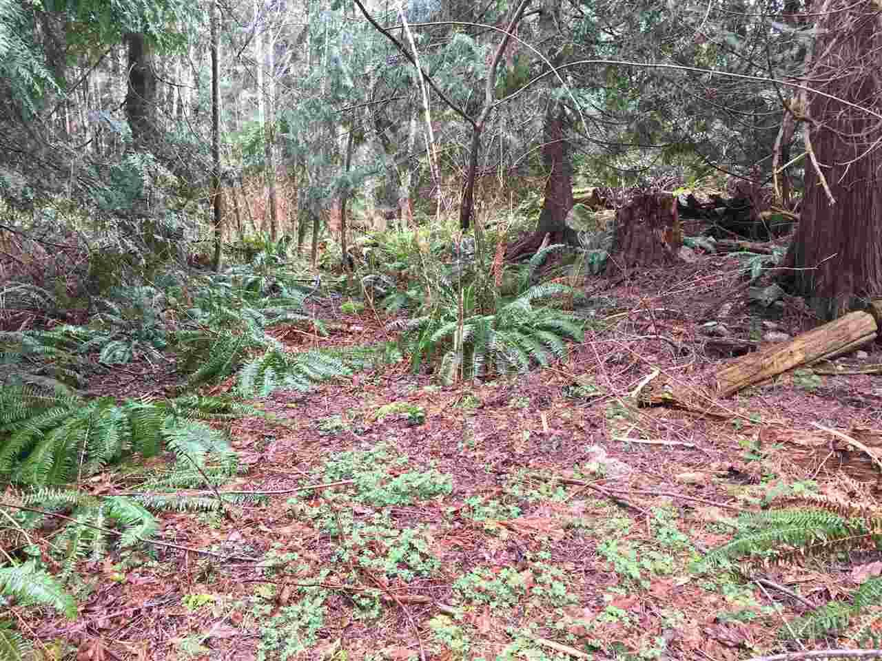 Main Photo: LOT D HEAL Road: Roberts Creek Land for sale (Sunshine Coast)  : MLS®# R2149518