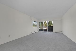 Photo 5: 304 13530 HILTON Road in Surrey: Bolivar Heights Condo for sale in "HILTON HOUSE" (North Surrey)  : MLS®# R2666761