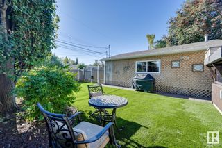 Photo 31: 11223 49 Avenue in Edmonton: Zone 15 House for sale : MLS®# E4314652