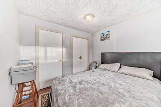 Photo 33: 303 Temple Close NE in Calgary: Temple Detached for sale : MLS®# A2113673