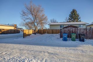 Photo 35: 957 Rundlecairn Way NE in Calgary: Rundle Detached for sale : MLS®# A2011621