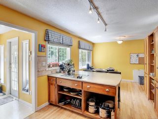 Photo 5: 1033 DAVIE St in Victoria: Vi Fairfield East House for sale : MLS®# 933673