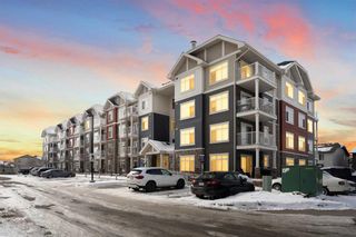Main Photo: 6304 155 Skyview Ranch Way NE in Calgary: Skyview Ranch Apartment for sale : MLS®# A2124102