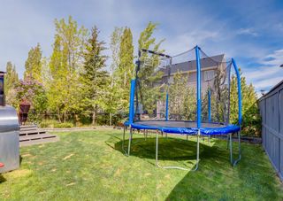 Photo 48: 204 Cougarstone Common SW in Calgary: Cougar Ridge Detached for sale : MLS®# A1227264