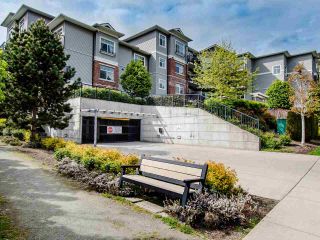 Photo 19: 302 19530 65 Avenue in Surrey: Clayton Condo for sale in "WILLOW GRAND" (Cloverdale)  : MLS®# R2453347