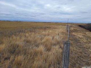 Photo 5: Unity 318 acres Grain and Pastureland in Round Valley: Farm for sale (Round Valley Rm No. 410)  : MLS®# SK951365