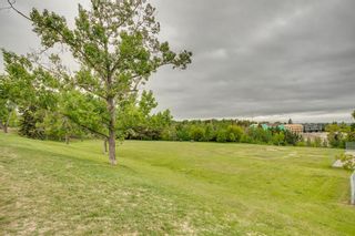 Photo 42: 1411 24 Street SW in Calgary: Shaganappi Detached for sale : MLS®# A2053451