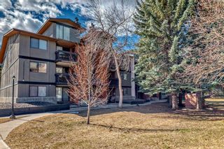 Photo 4: 108B 7301 4A Street SW in Calgary: Kingsland Apartment for sale : MLS®# A2121679