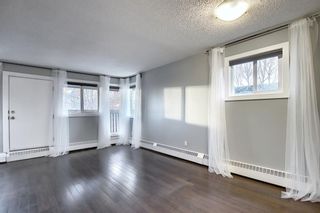 Photo 8: 402 534 20 Avenue SW in Calgary: Cliff Bungalow Apartment for sale : MLS®# A1065018