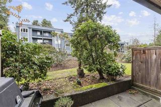 Photo 10: 107 1121 HOWIE Avenue in Coquitlam: Central Coquitlam Condo for sale in "Willows" : MLS®# R2516911